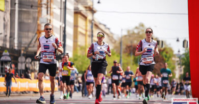 Vienna calling – Vier Drachen folgen dem Ruf